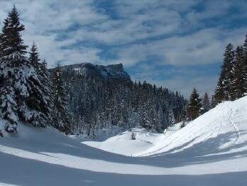 La croix de l'Alpe