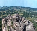 Sokolik