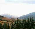 Cruach Ardrain