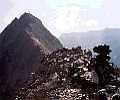Batoua